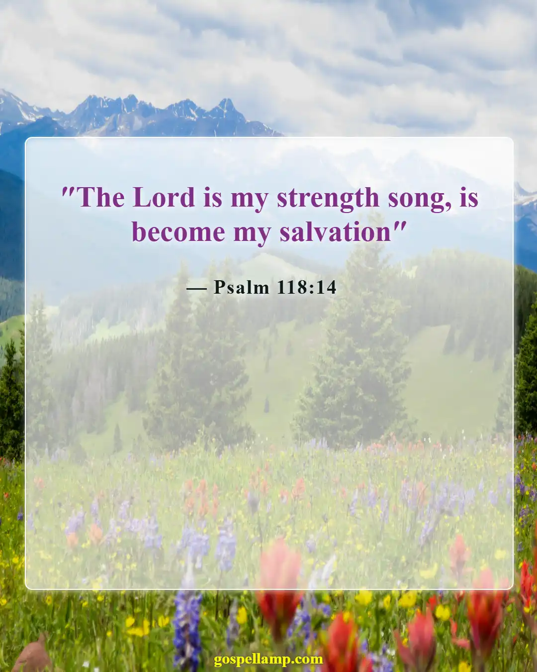 Psalm 118:14 :- God is my strength and salvation