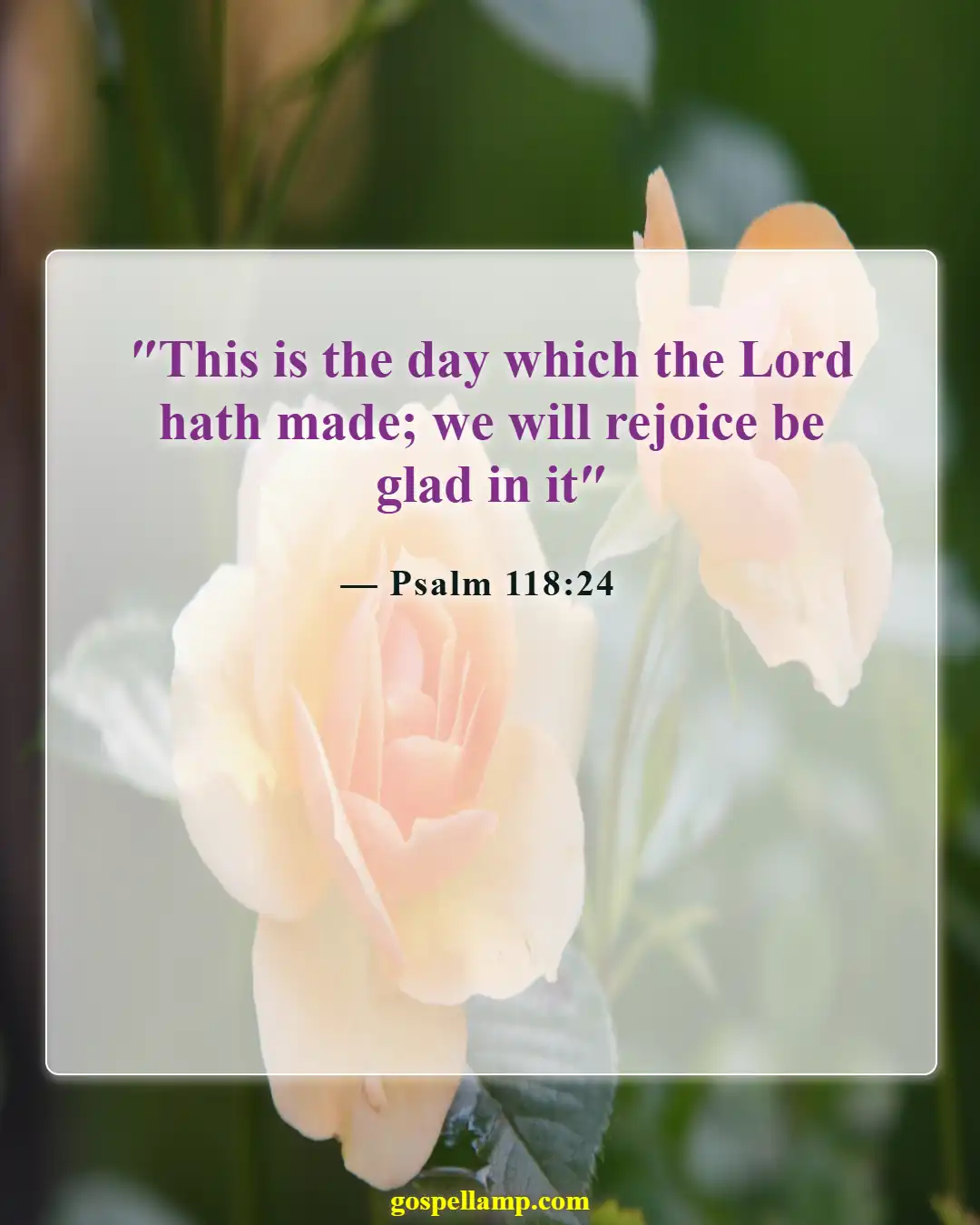 Psalm 118:24 :- This is the day the Lord made