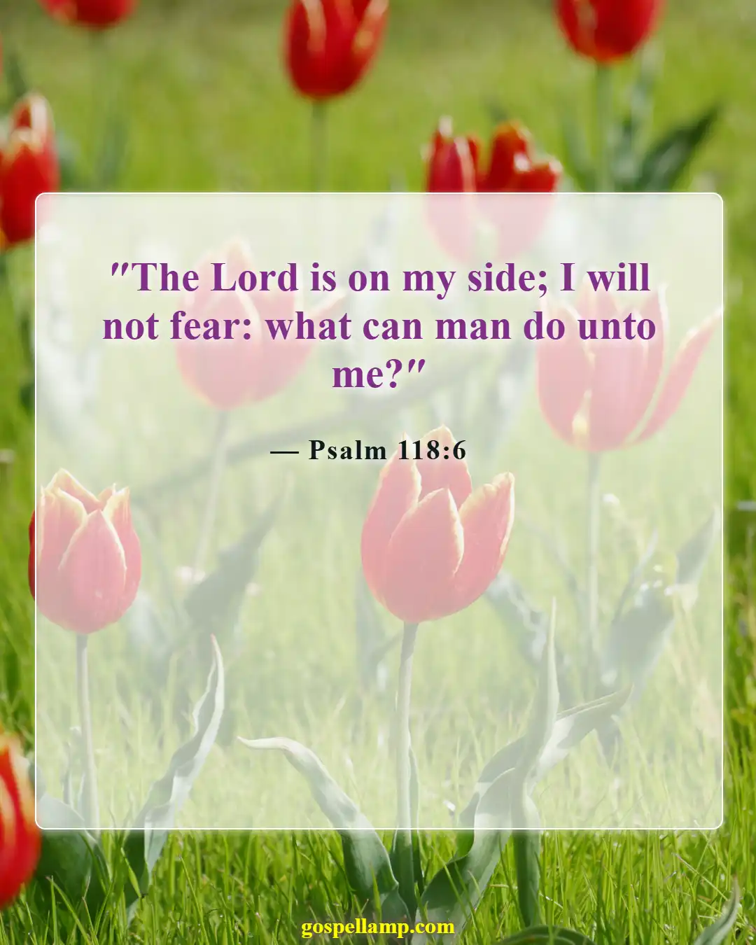 Psalm 118:6 :- Trust in God for home safety always