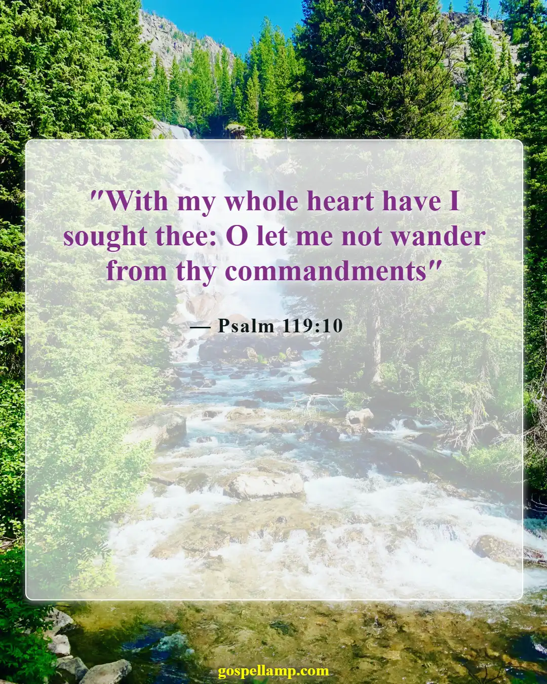 Psalm 119:10 :- Seeking God with all my heart
