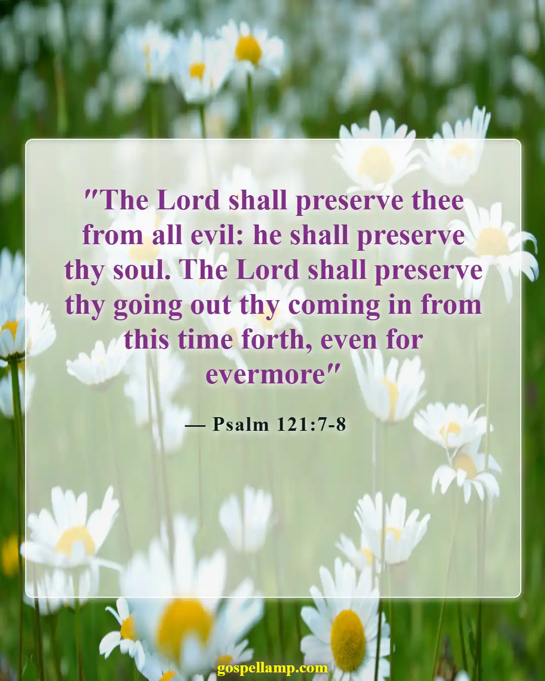 Psalm 121:7-8 :- Divine protection over your home assured