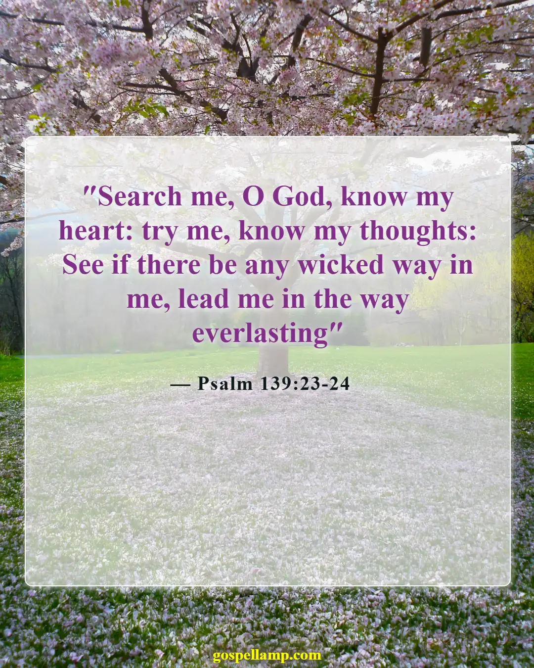 Psalm 139:23-24 :- Search my heart, lead me in faith