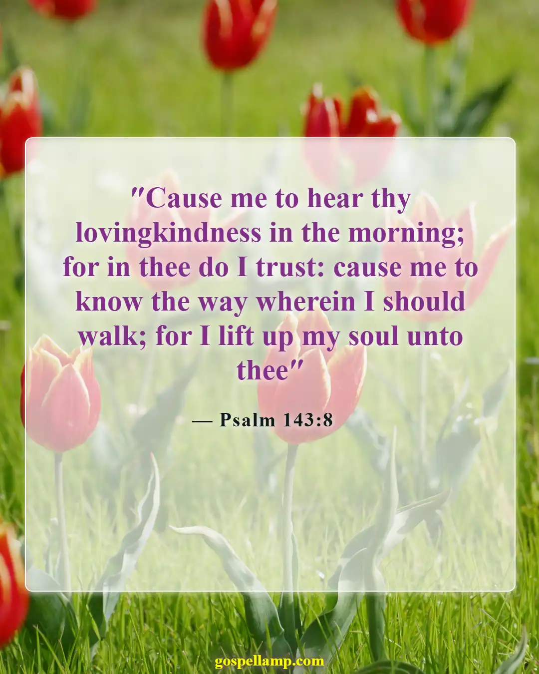 Psalm 143:8 :- Guidance and hope for a new day
