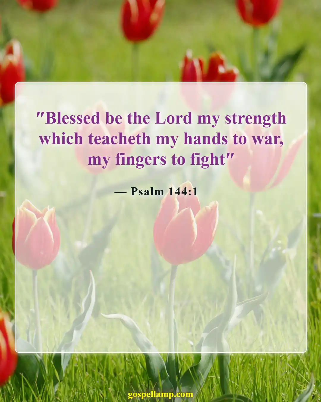 Bible Verses About Fighting Back (Psalm 144:1)