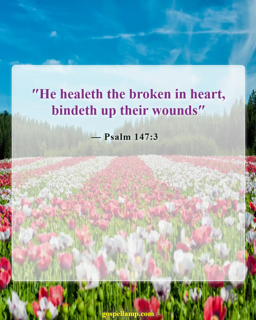 Psalm 147:3 :- God heals the brokenhearted and comforts