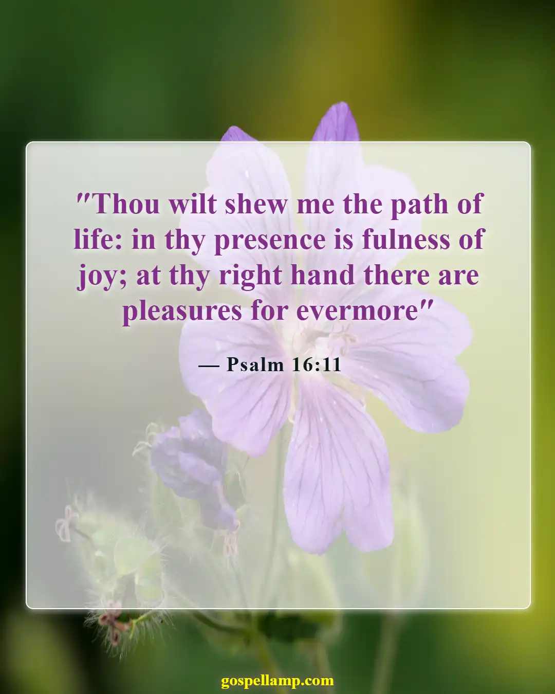 Psalm 16:11 :- Joyful guidance in morning prayer reflection