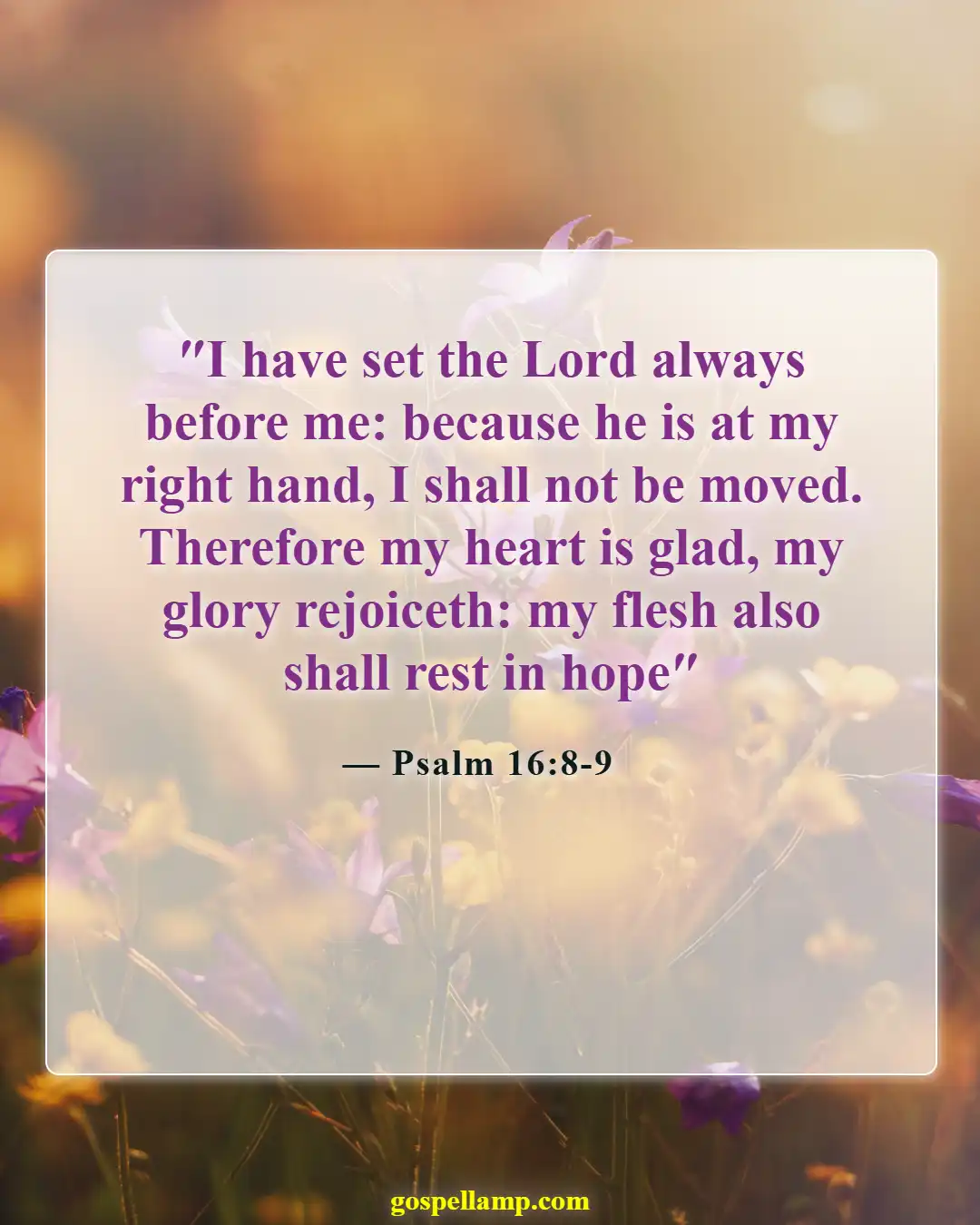 Psalm 16:8-9 :- Trusting God brings peace and joy