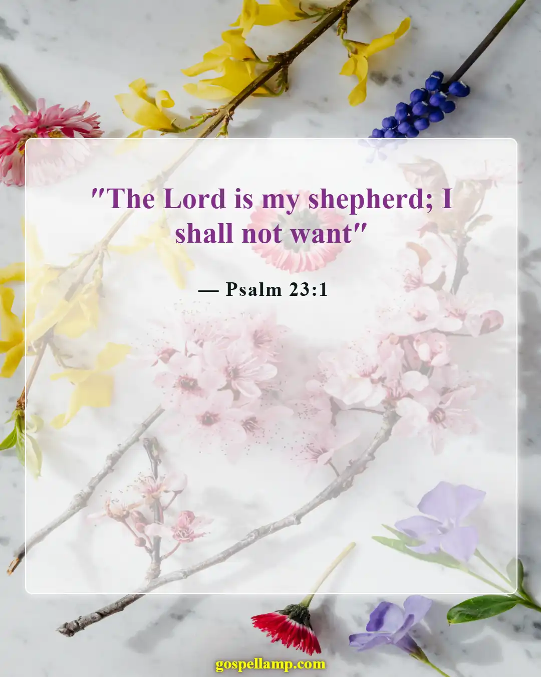Bible Verses About Financial Problems (Psalm 23:1)