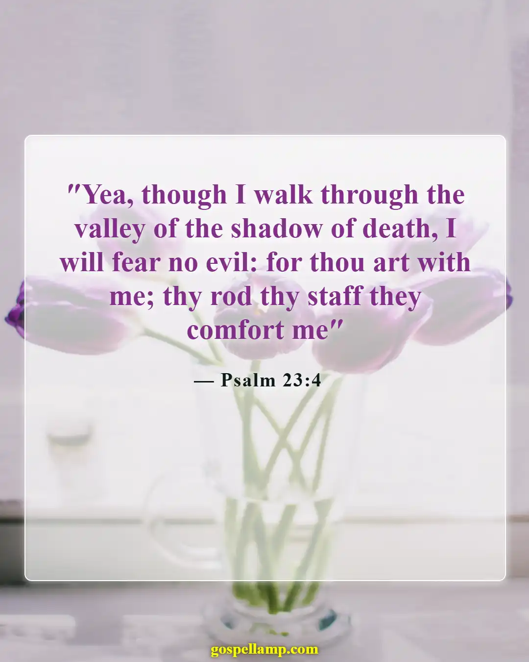 Bible Verses About Life Struggles (Psalm 23:4)