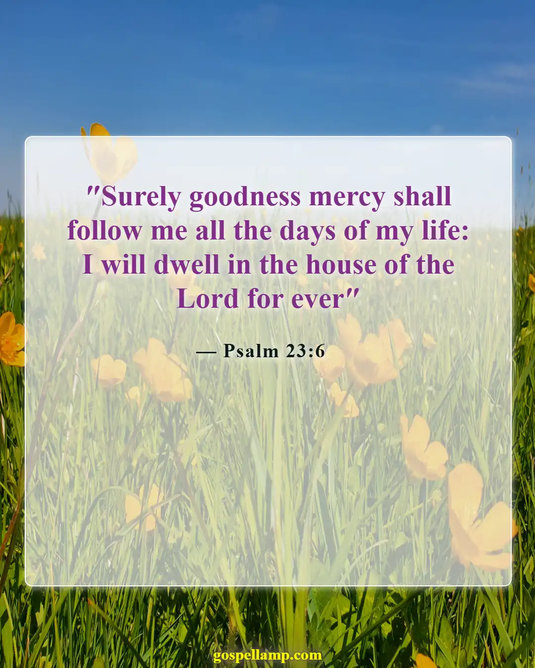 Psalm 23:6 :- Goodness and mercy follow all our days