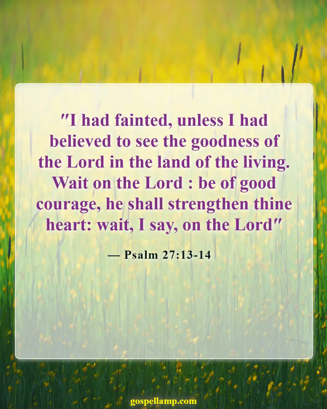 Psalm 27:13-14 :- Trust in God’s goodness for the future