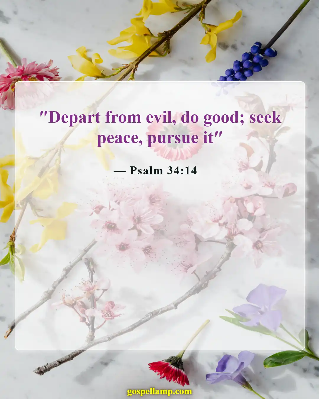 Psalm 34:14 :- Seek peace through God’s guidance always