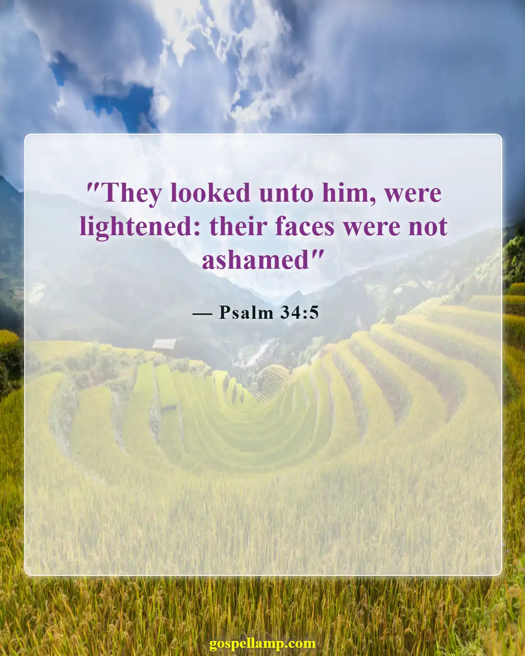 Bible Verses About Physical Appearance (Psalm 34:5)