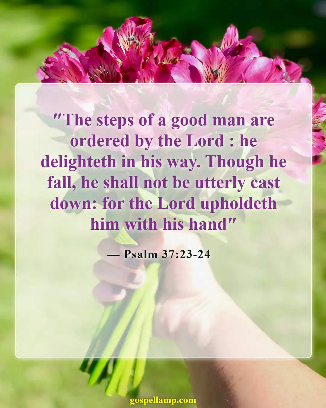 Psalm 37:23-24 :- God guides steps, lifts the fallen