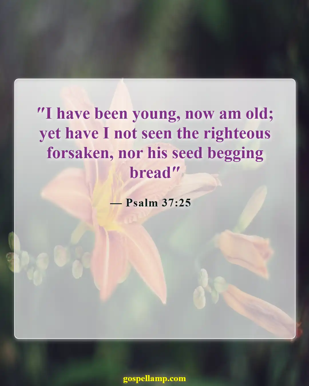 Bible Verses About Money Problems (Psalm 37:25)