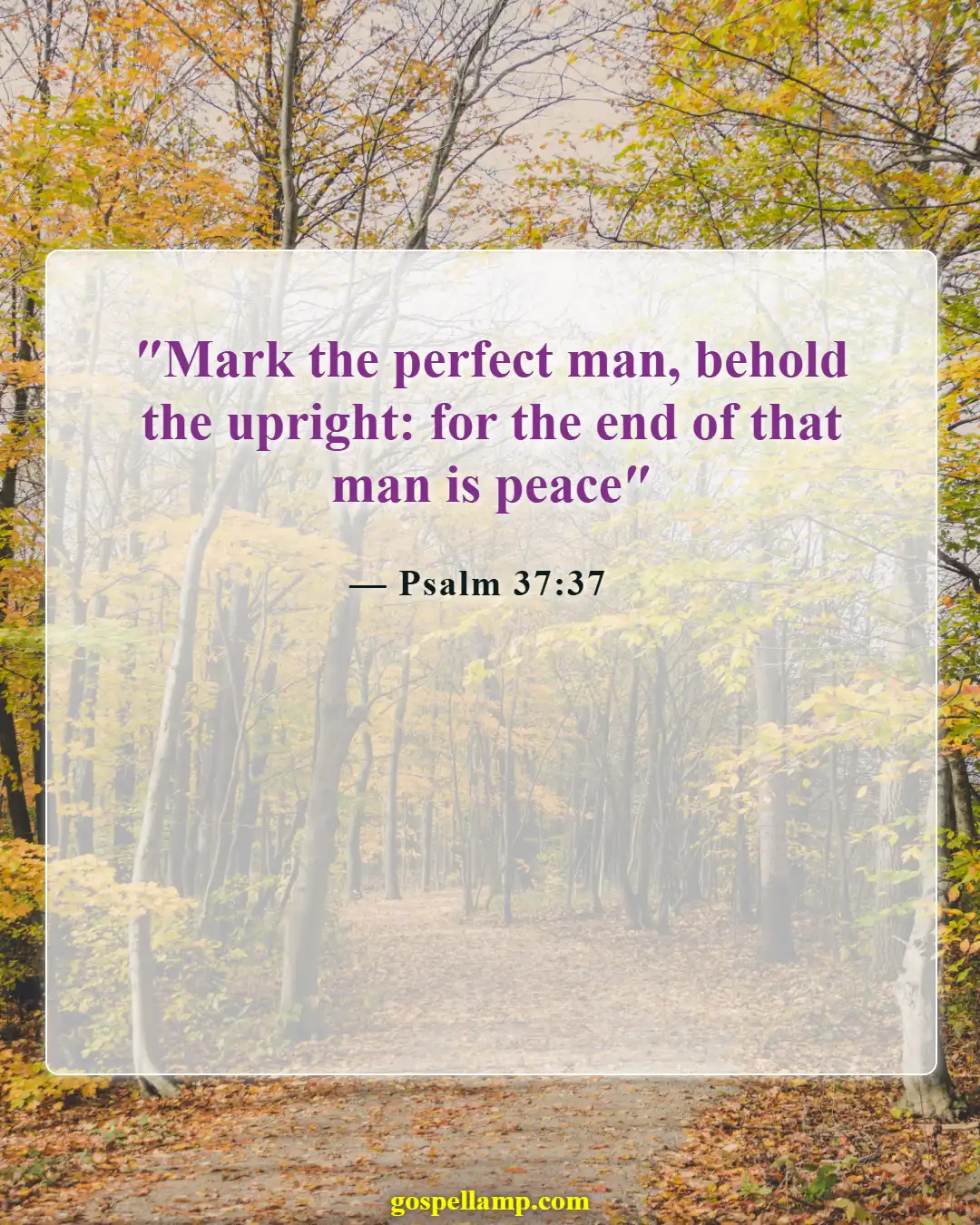 Psalm 37:37 :- Observe the blameless, enjoy peace and security