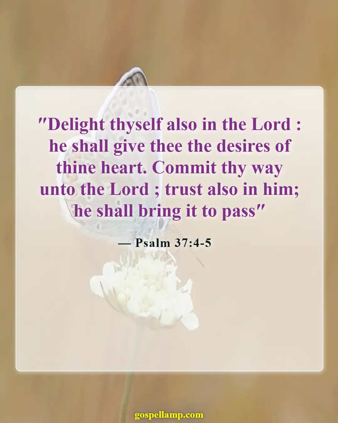 Bible Verses About Falling In Love With The Wrong Person (Psalm 37:4-5)