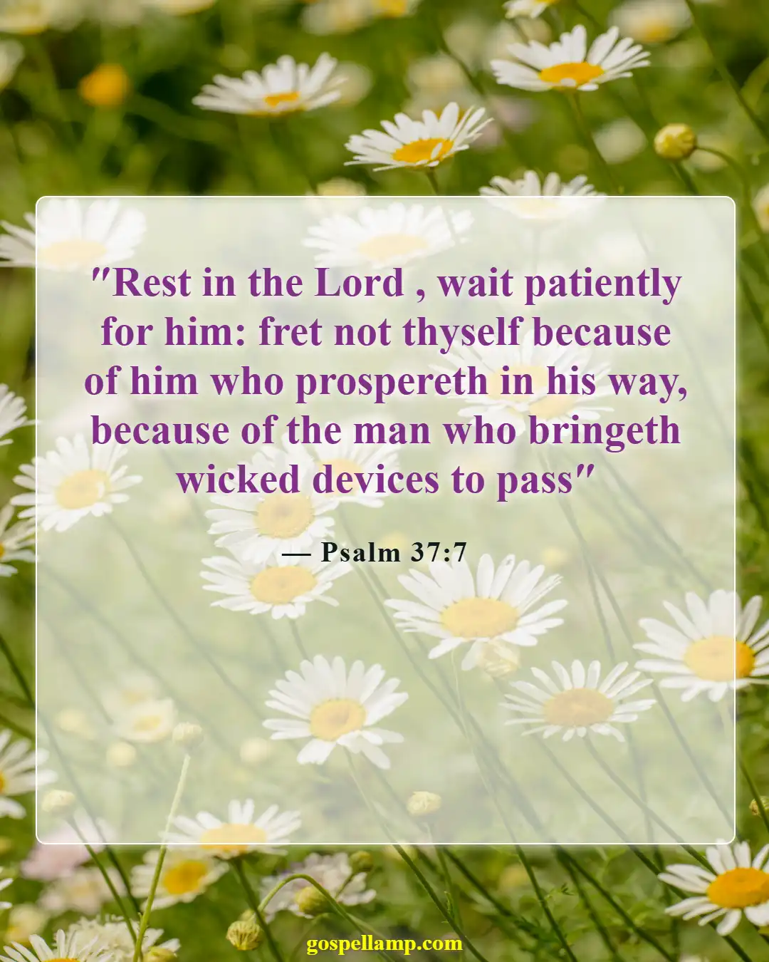 Psalm 37:7 :- Trust in the Lord and be patient