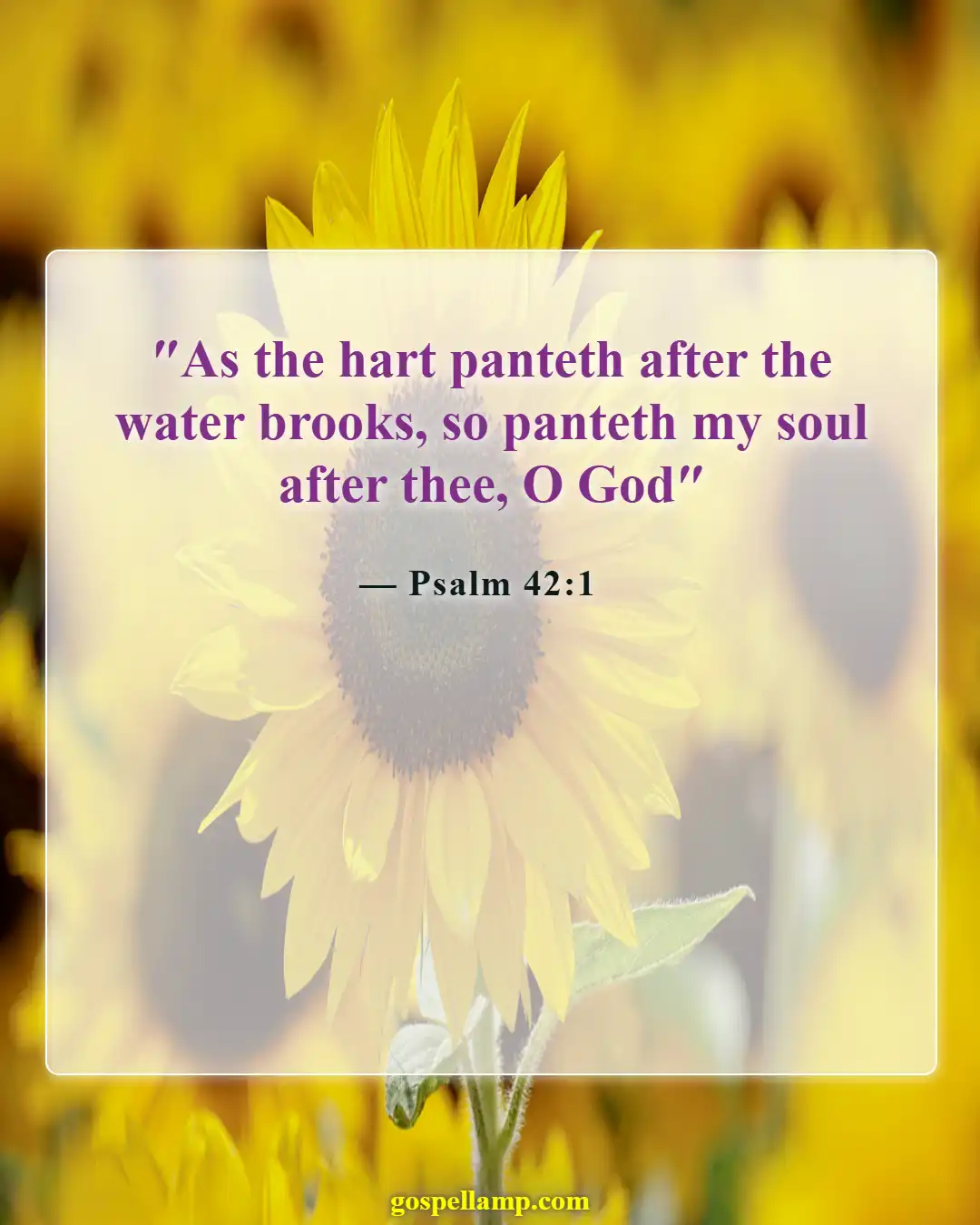 Bible Verses About Pursuing God (Psalm 42:1)