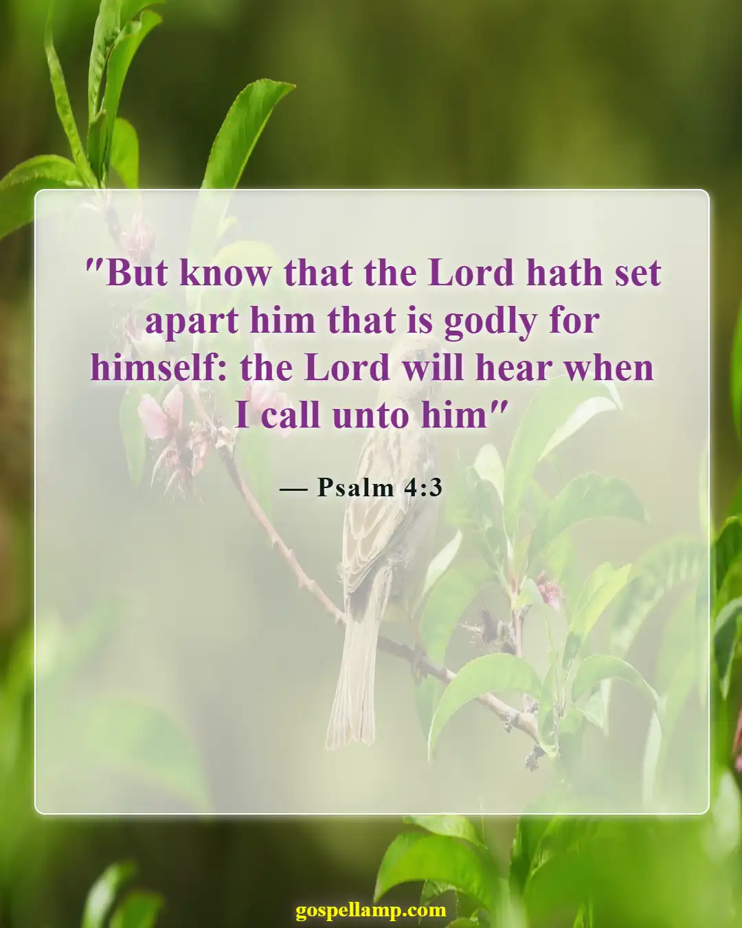 Psalm 4:3 :- Called and set apart by God's grace