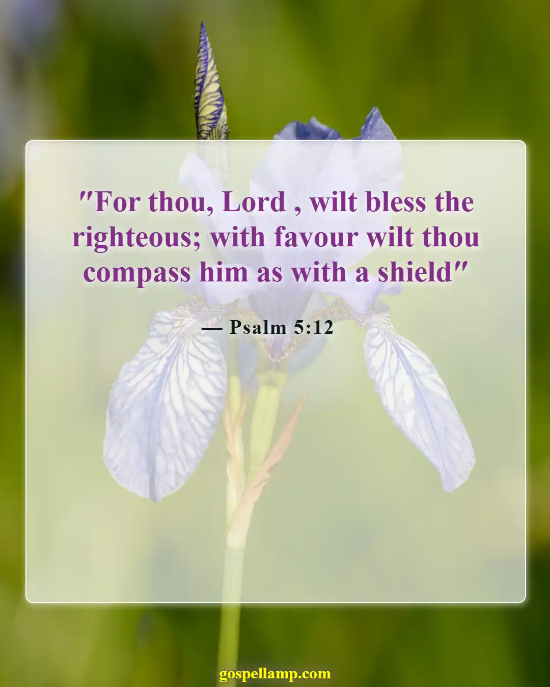 Bible Verses About Good Fortune (Psalm 5:12)