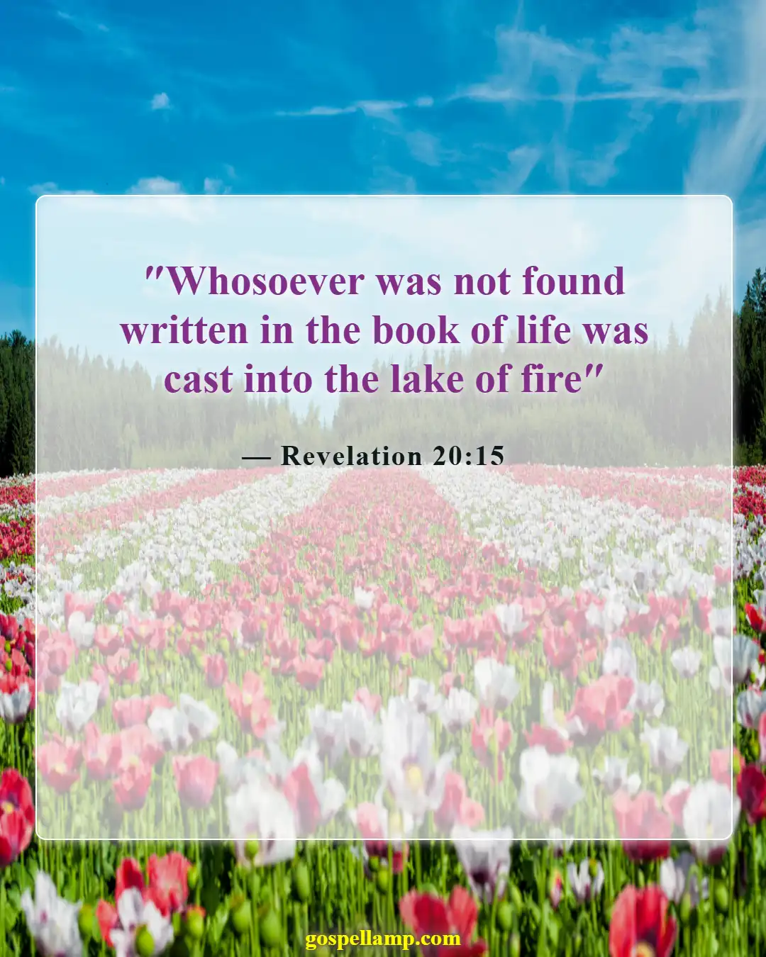 Bible Verses About Punishment In Hell (Revelation 20:15)