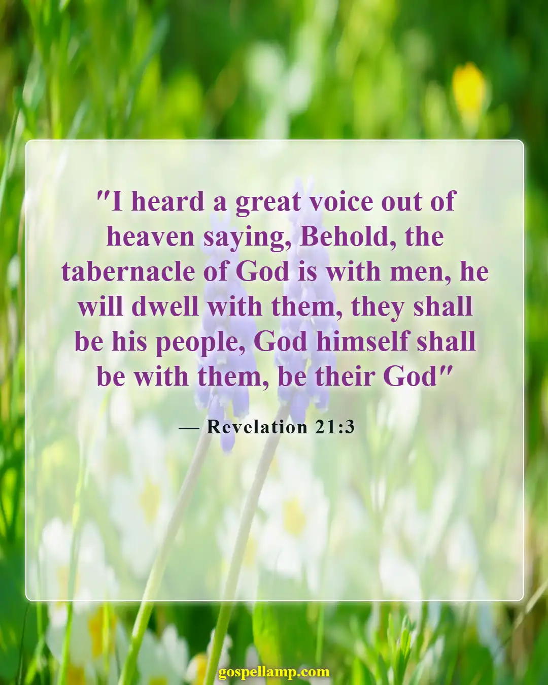 Bible Verses About Heaven And Hell (Revelation 21:3)