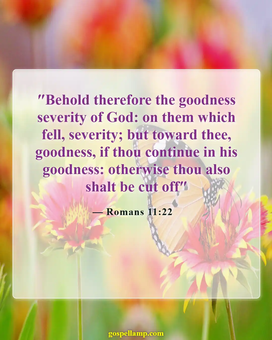 Romans 11:22 :- God's kindness and severity toward believers
