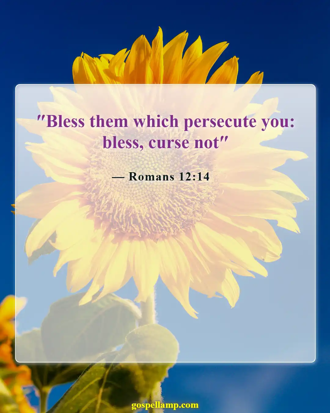 Romans 12:14 :- Bless those who persecute you, be kind