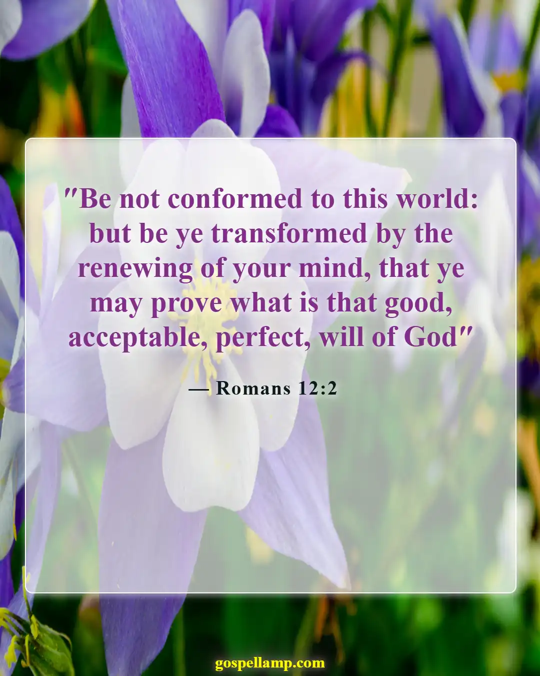 Romans 12:2 :- Transforming your mind for God's purpose