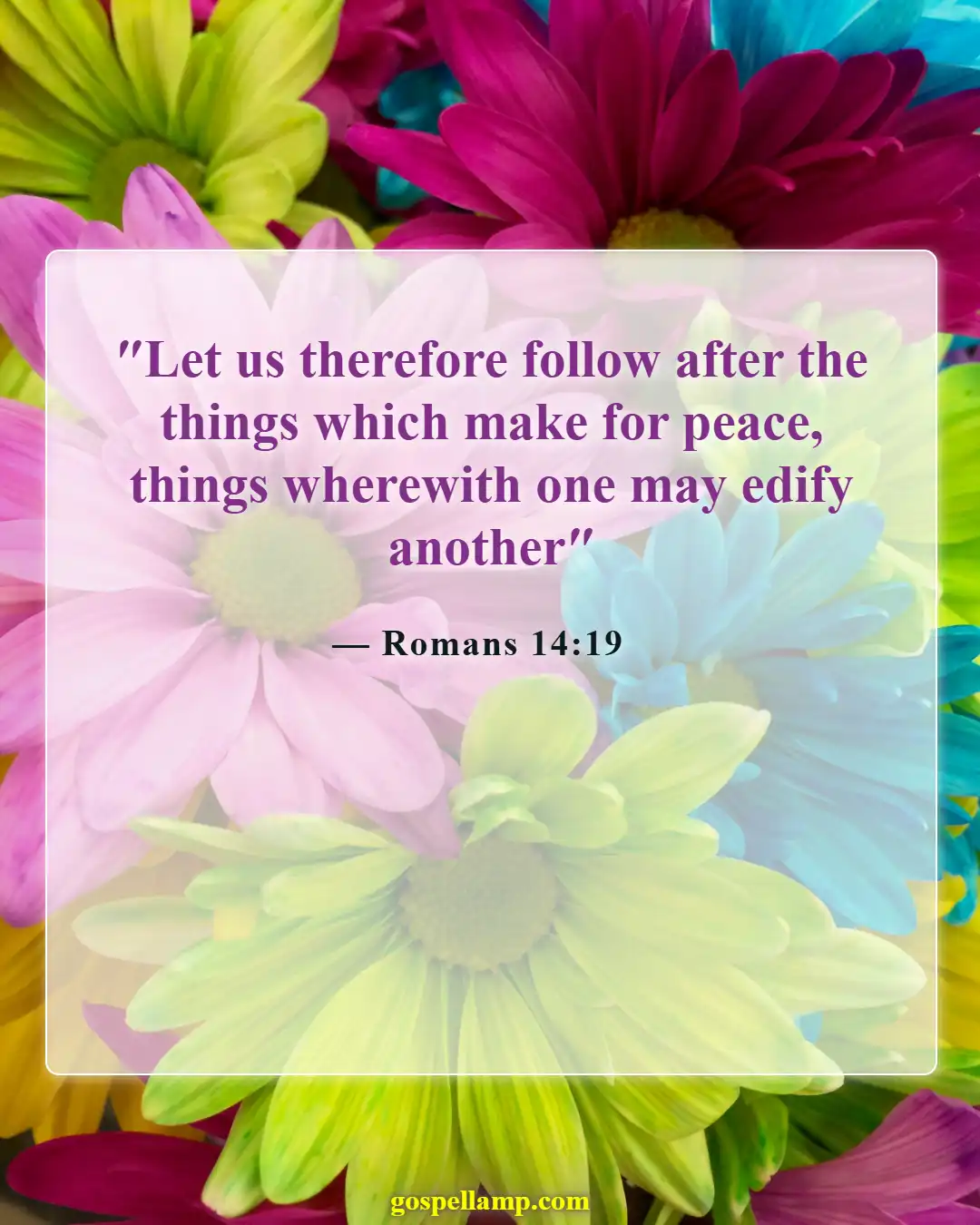Romans 14:19 :- Pursue peace and mutual edification together