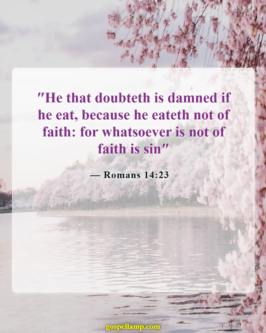 Bible Verses About Masterbation (Romans 14:23)