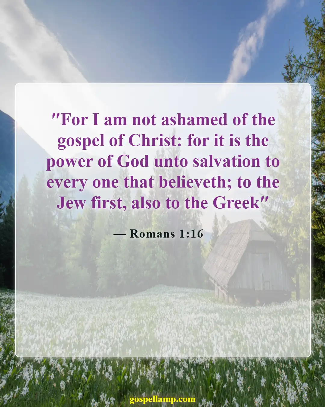 Bible Verses About Social Media (Romans 1:16)