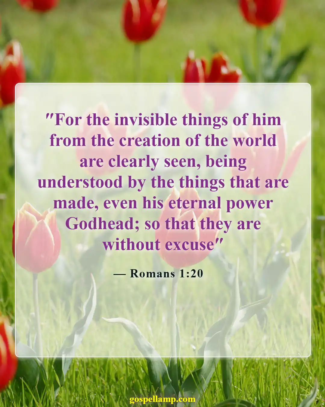 Bible Verses About Respecting God's Creation (Romans 1:20)