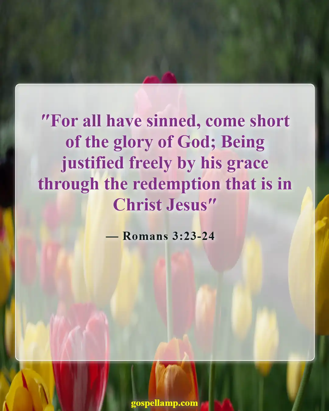 Romans 3:23-24 :- All have sinned, freely justified by grace
