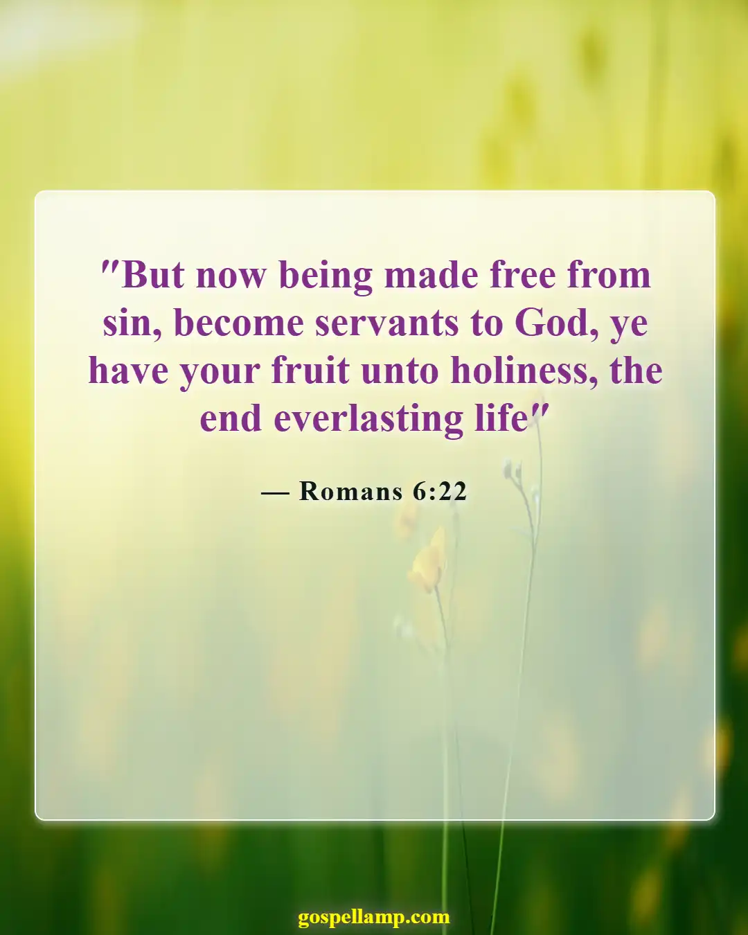 Romans 6:22 :- Freedom in Christ leads to holiness and life