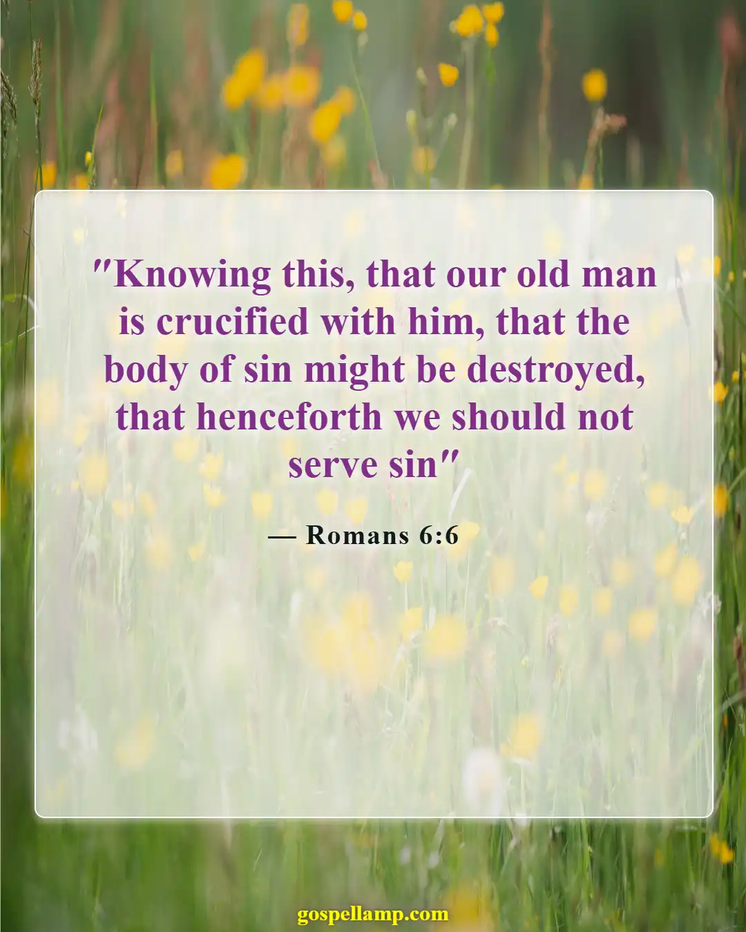 Bible Verses About Forgetting The Past And Moving Forward (Romans 6:6)