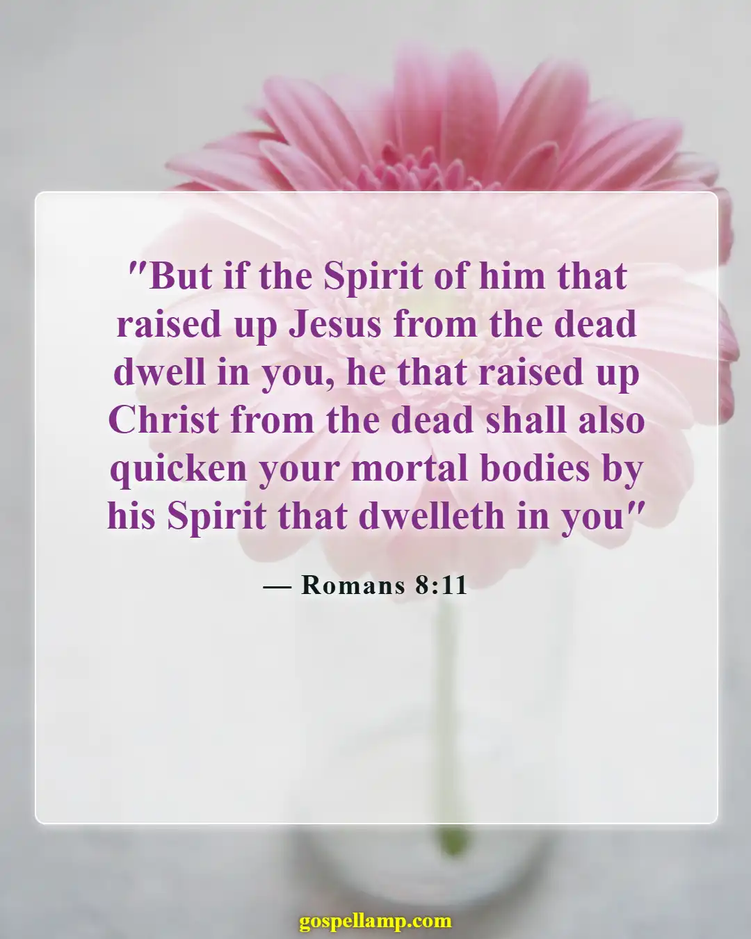Bible Verses About Spiritual Energy (Romans 8:11)