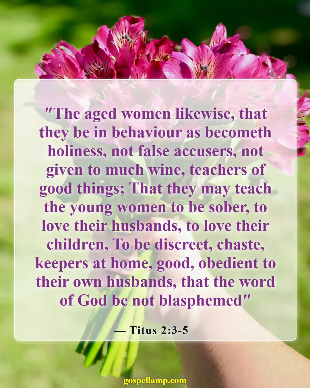 Bible Verses About Exposing Your Body (Titus 2:3-5)