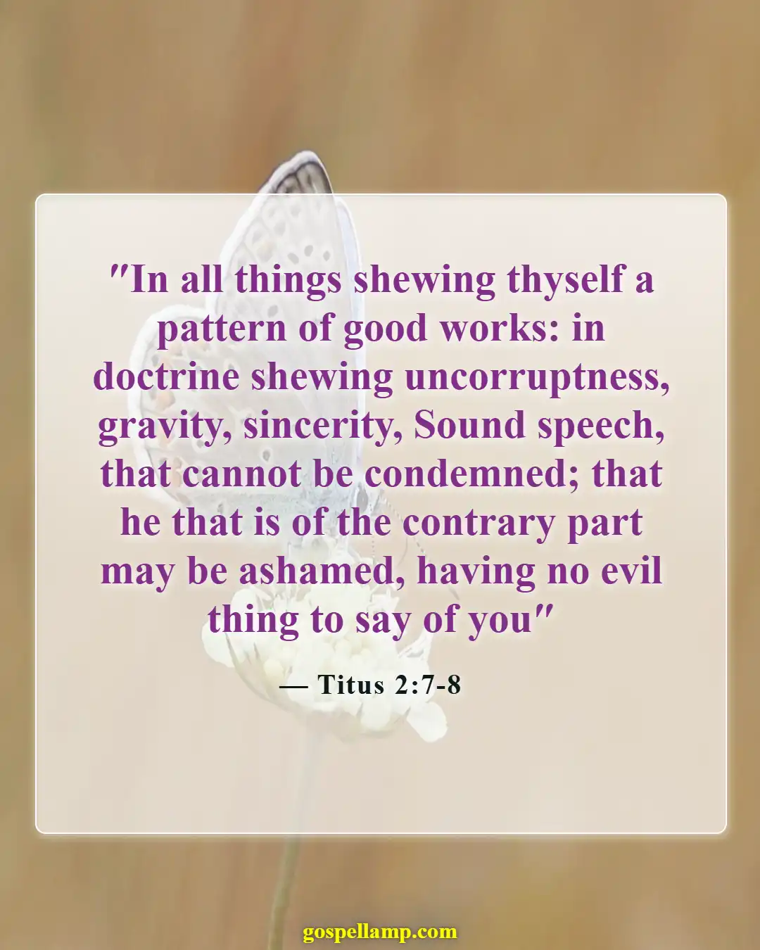 Bible Verses About Fathers Responsibilities (Titus 2:7-8)