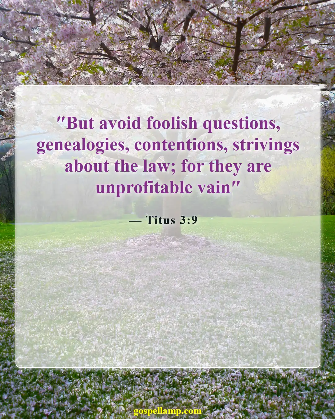 Bible Verses About Stupidity (Titus 3:9)