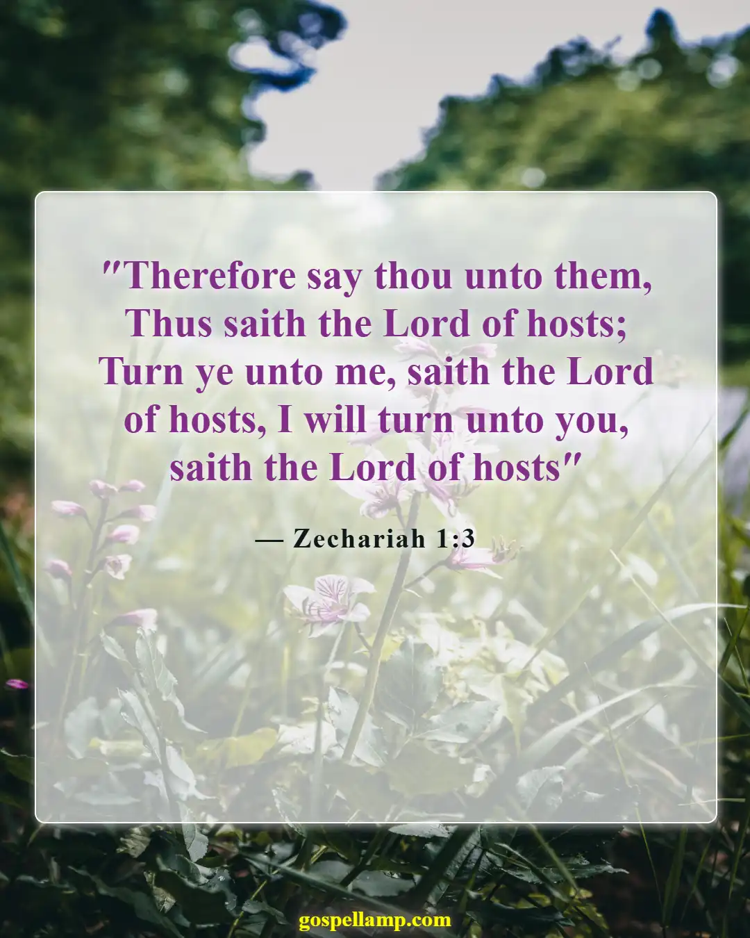 Bible Verses About Pursuing God (Zechariah 1:3)