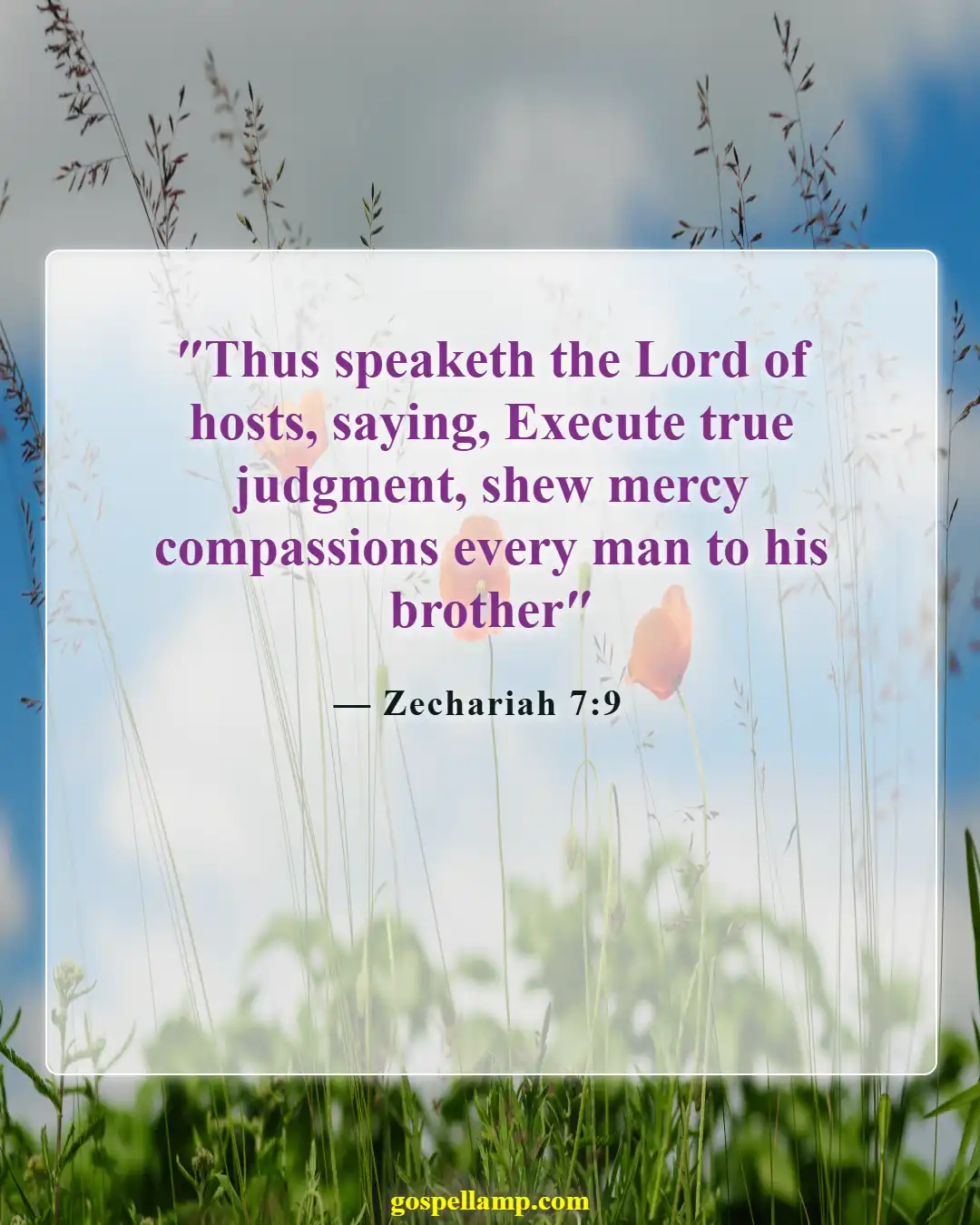 Bible Verses About Love And Compassion (Zechariah 7:9)